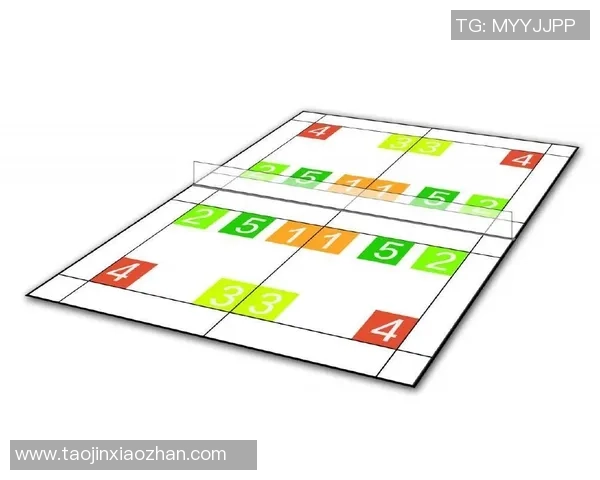 深圳羽毛球队防守战术深度解析与实战应用探讨 深圳羽毛球队防守战术深度解析与实战应用探讨