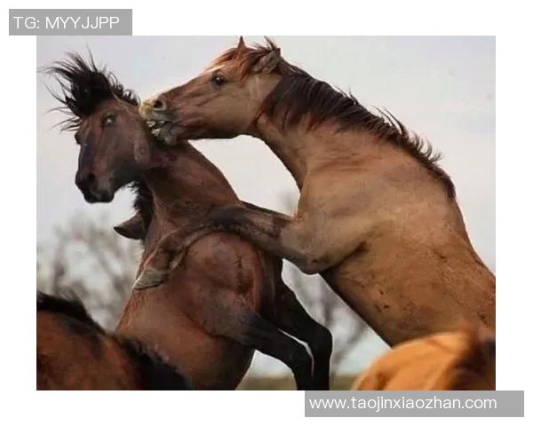 足球明星搞笑睡姿大曝光你绝对想不到他们的睡觉姿势竟然如此搞笑 足球明星搞笑睡姿大曝光你绝对想不到他们的睡觉姿势竟然如此搞笑