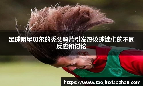 yy易游
