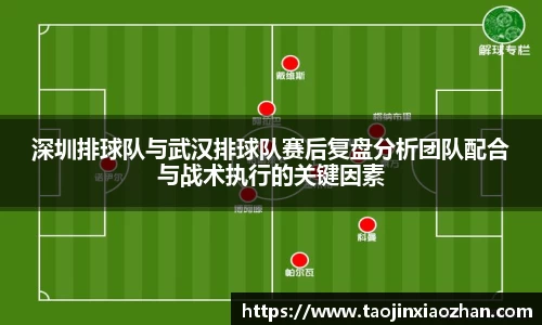 深圳排球队与武汉排球队赛后复盘分析团队配合与战术执行的关键因素