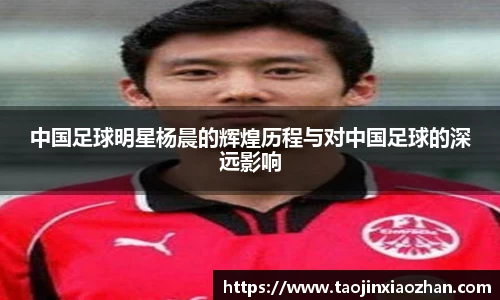 中国足球明星杨晨的辉煌历程与对中国足球的深远影响